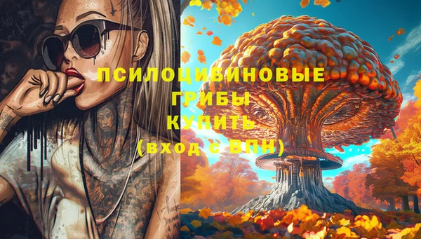 стафф Верхний Тагил